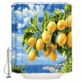 thumbnail image 1 of 54x78 Inch Shower Curtain Decorative Yellow Lemon Bathtub Bath Curtains Fabric Waterproof Bathroom Decor Summer Blue Sky Coastal Scenery Small Stall Shower Curtain Set with 12 Hooks, 1 of 6