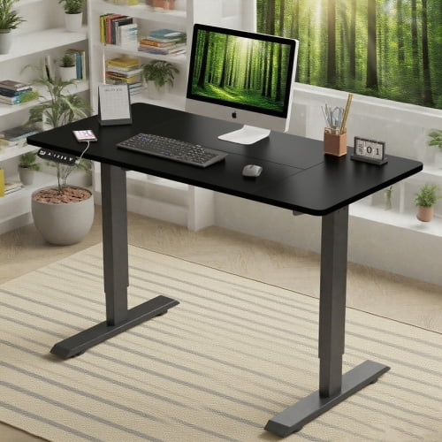 55"24" Black Electric Standing Desk Height Adjustable Desk for Home and Office Computer Table Gaming Desk Modern Lift-up Desk, Black
