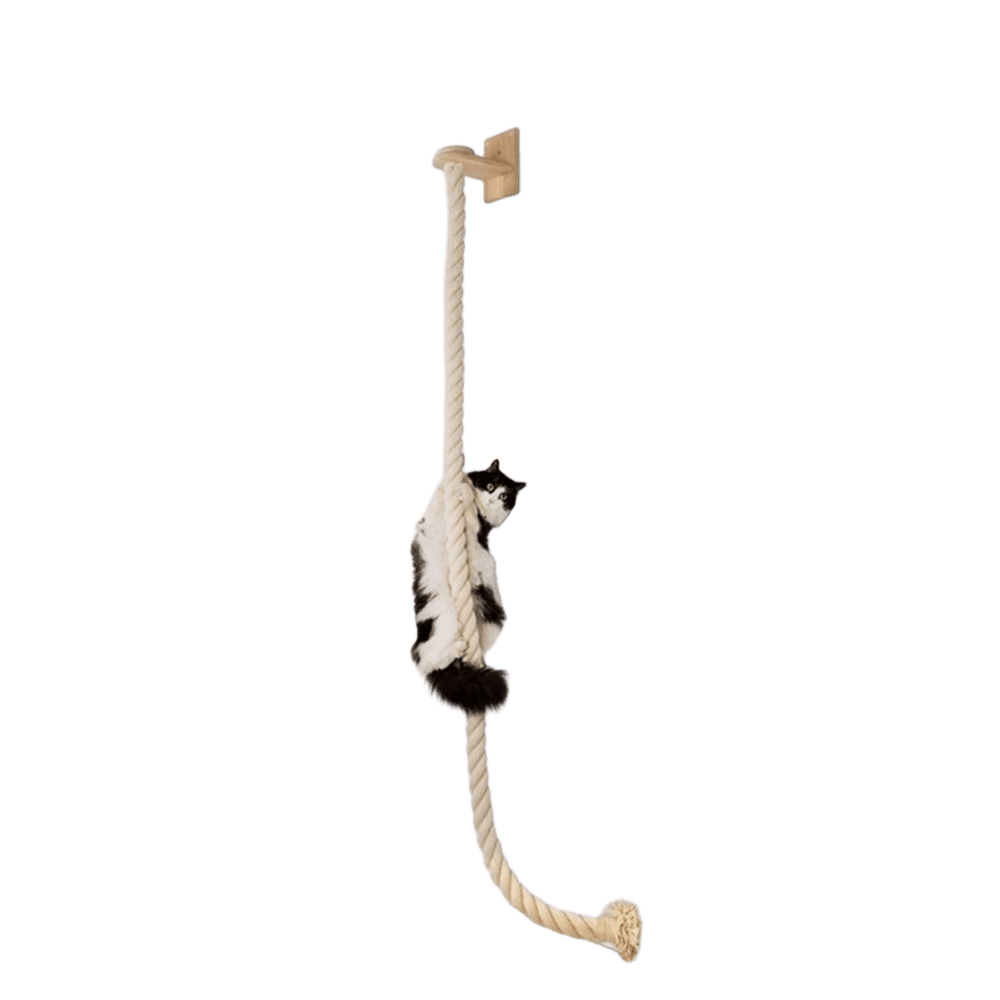 QLFYUU 55 inch Cat Climbing Toy Rope with Small Wood Shelf Wall Mounted for Indoor Cats Beige