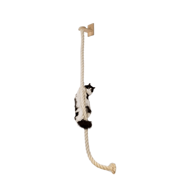 QLFYUU 55 inch Cat Climbing Toy Rope with Small Wood Shelf Wall Mounted for Indoor Cats Beige