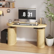 55" Electric Standing Desk, Height Adjustable Sit Stand Desk with Storage, Computer Desk