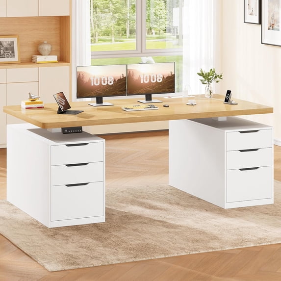 55" Electric Standing Desk with 6 Drawers, Height Adjustable Computer Desk for Home Office