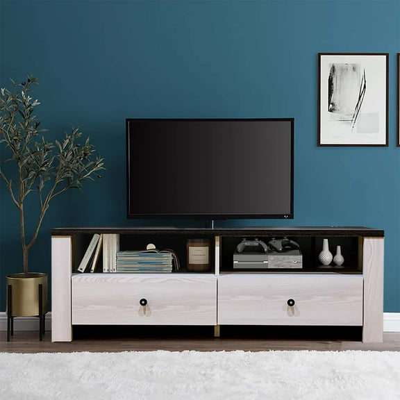 55 Inch TV Stand Console Entertainment Center Two Drawers and Two Storage Compartments