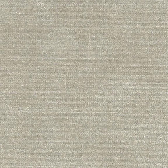 55 in. Brussels Beautifuly Curated Velvet Fabric Cloth, Oyster