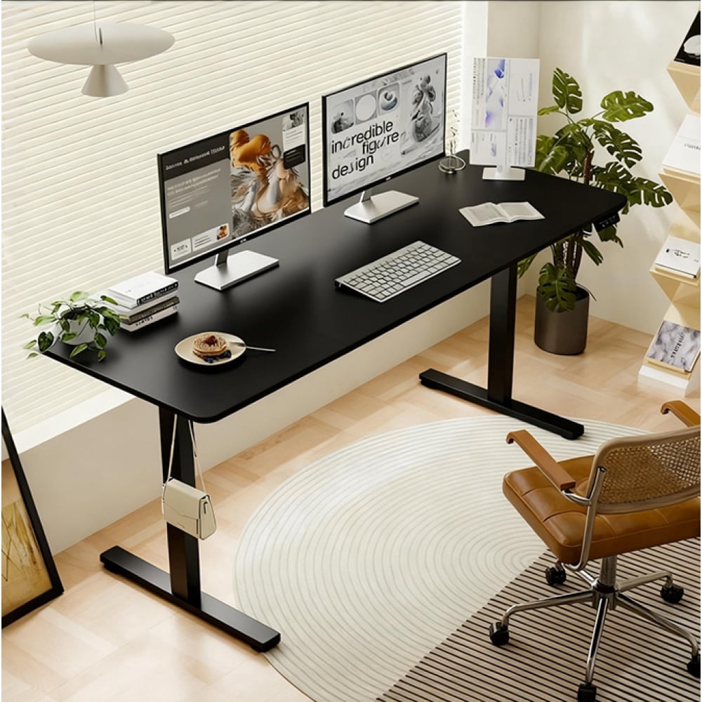 55" x 24" Black Electric Standing Desk, Height Adjustable Sit Stand Desk with Type-C Port for Home Office
