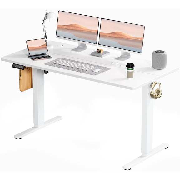 55" x 24" Motorized Electric Height Adjustable Desk, Modern Sit Stand Computer Workstation, Durable Ergonomic Desk Perfect for Home Office, Gaming & Daily Use