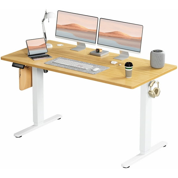 55"x24" Ergonomic Electric Sit Stand Desk, Height Adjustable Computer Workstation with Smooth Lifting, Modern Sturdy Table for Home Office & Gaming Use