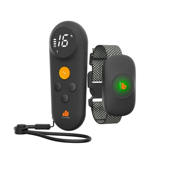 550 Yards Remote Dog Training Shock Collar Waterproof for Small Medium Large Dogs