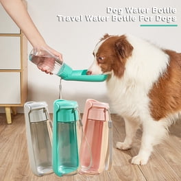 Small Dog Water Bottle: Essential for Hydration On-the-Go