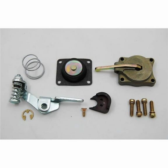 5565 50CC Accelerator Pump Kit