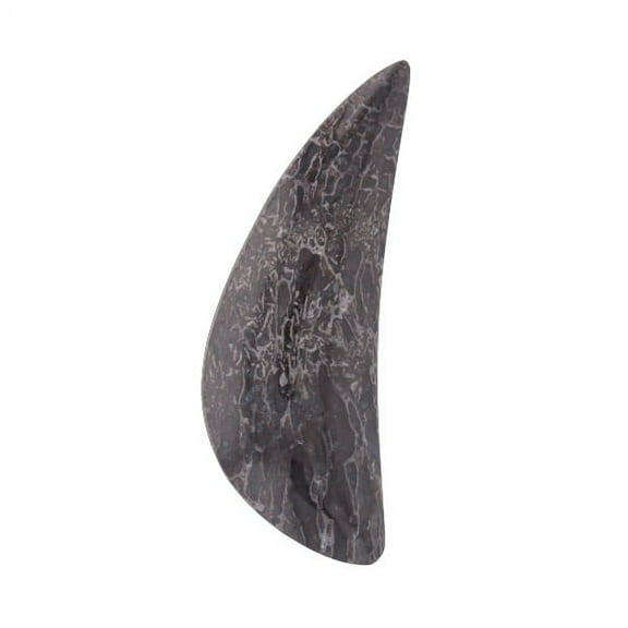 55x20mm Dinosaur Bone Fossil
