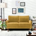 Aesthetic Comfy 56.3'' Velvet Loveseat with Solid Wood Frame for Guest ...