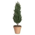 thumbnail image 1 of 56 Inch Polyblend Cypress - Green, 1 of 1