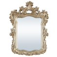 thumbnail image 1 of 56 Inch Wall Mirror Ornate Carving Champagne Gold - Saltoro Sherpi, 1 of 5