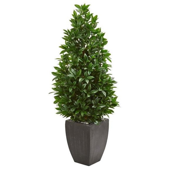 56 in. Bay Leaf Cone Topiary Artificial Tree in Black Planter