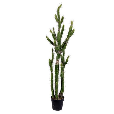 56 in. Green Potted Cactus Plastic Planter Pot