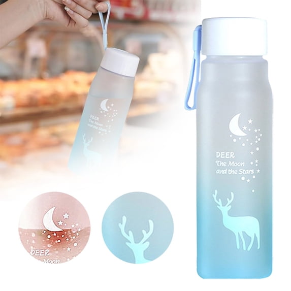 560ml Gradient Frosted Plastic Water Bottle Wide Mouth Leak Proof Water Cup Portable Space Cup