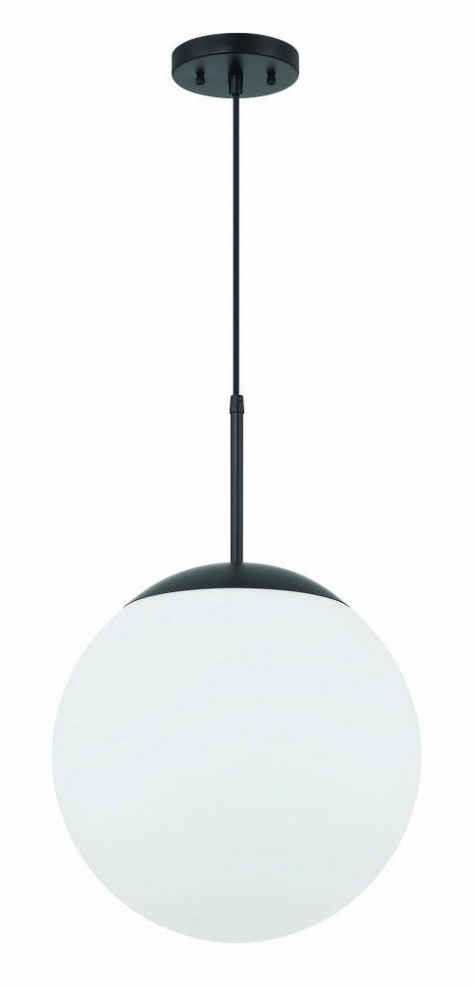 Modern Black Globe Pendant Light with Clear Glass Shade