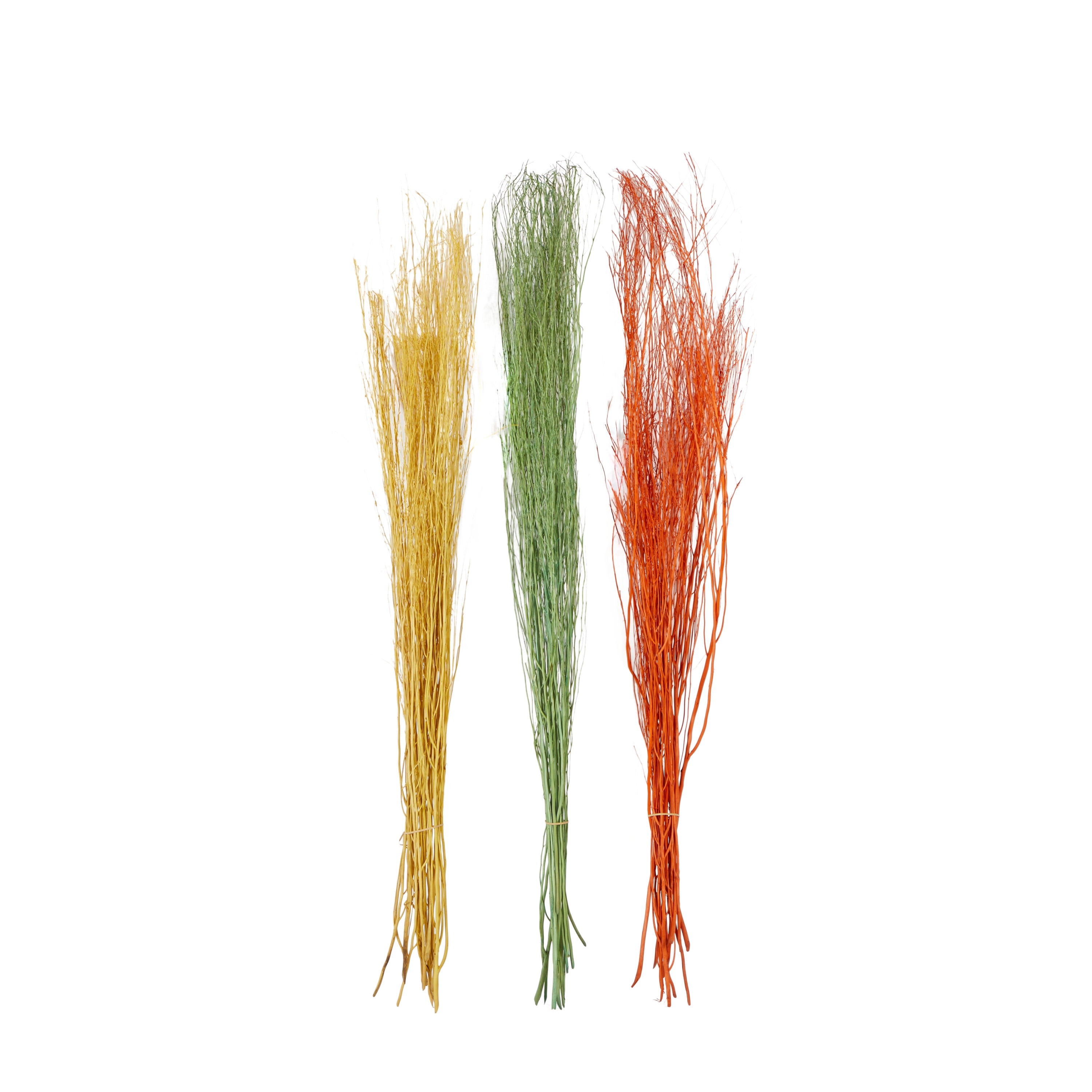 57" Dried Plant Natural Foliage Pigeon pea Bouquet, by DecMode (3 Count)