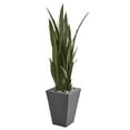 thumbnail image 1 of 57” Sansevieria Artificial Plant in Slate Planter, 1 of 2