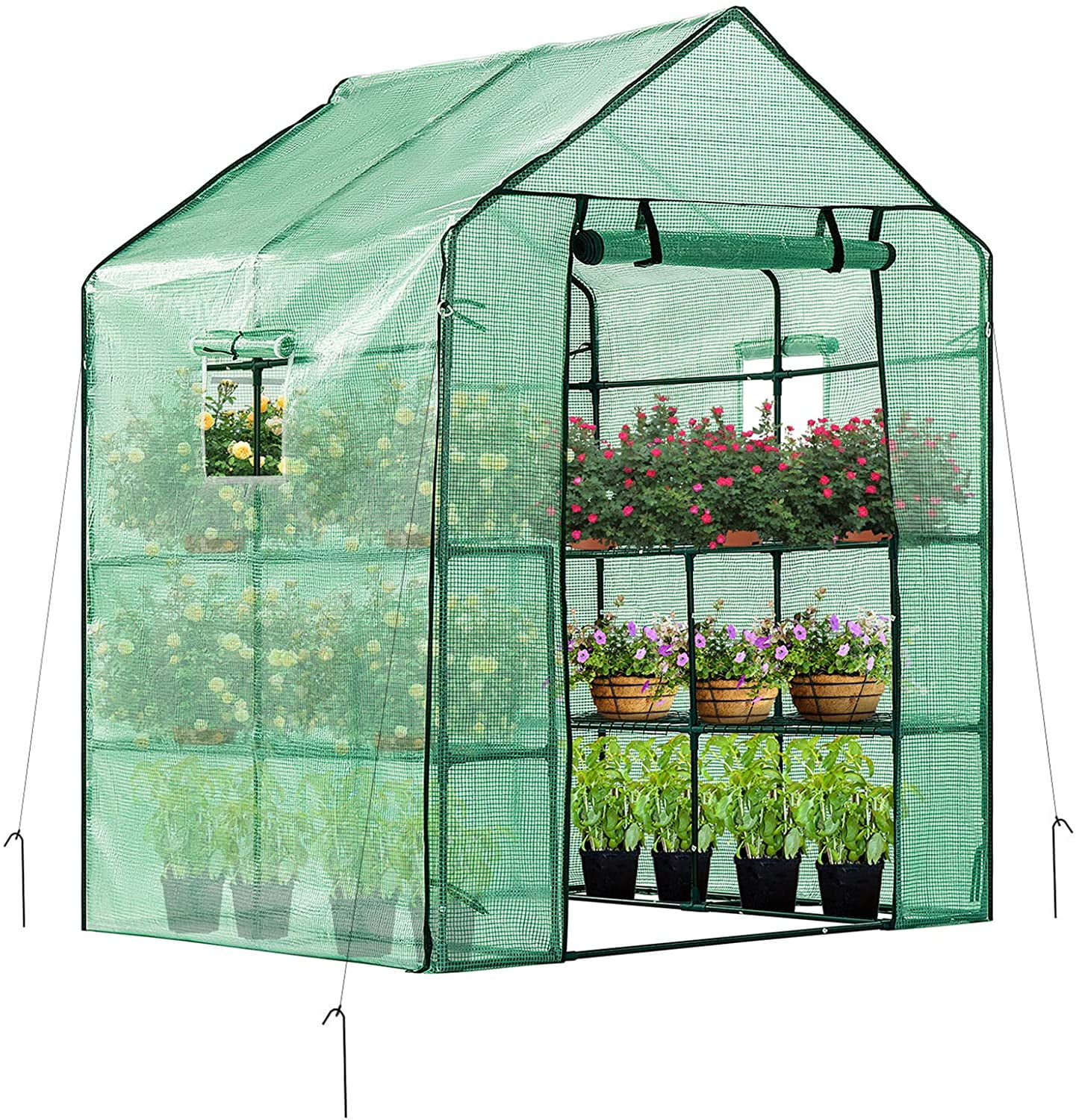 57x57x77Inch Mini Walk in Green House with Window and Anchor, Plant