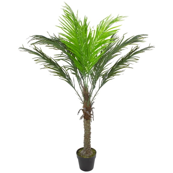 58.5" Potted Green and Brown Phoenix Palm Artificial Tree - Unlit