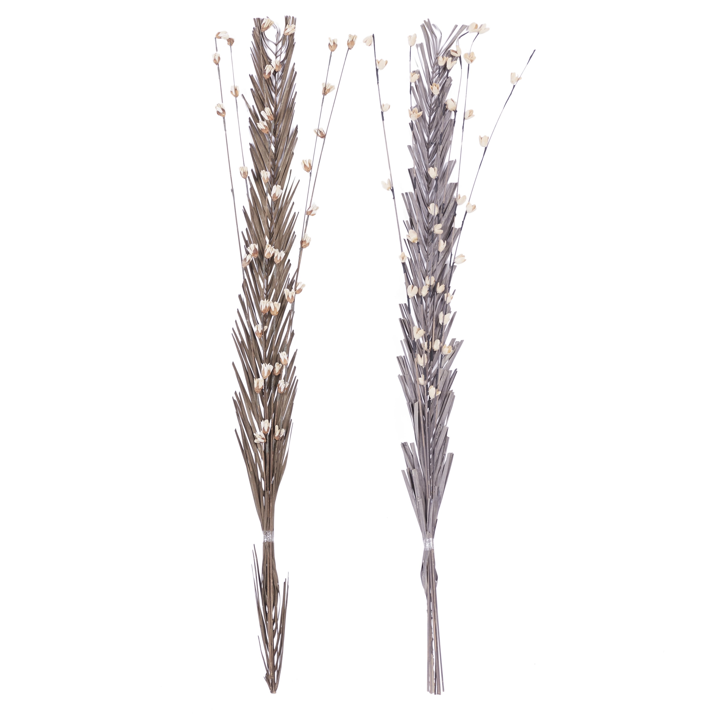 58" Dried Plant Natural Foliage Pigeon pea Bouquet, by DecMode (2 Count)
