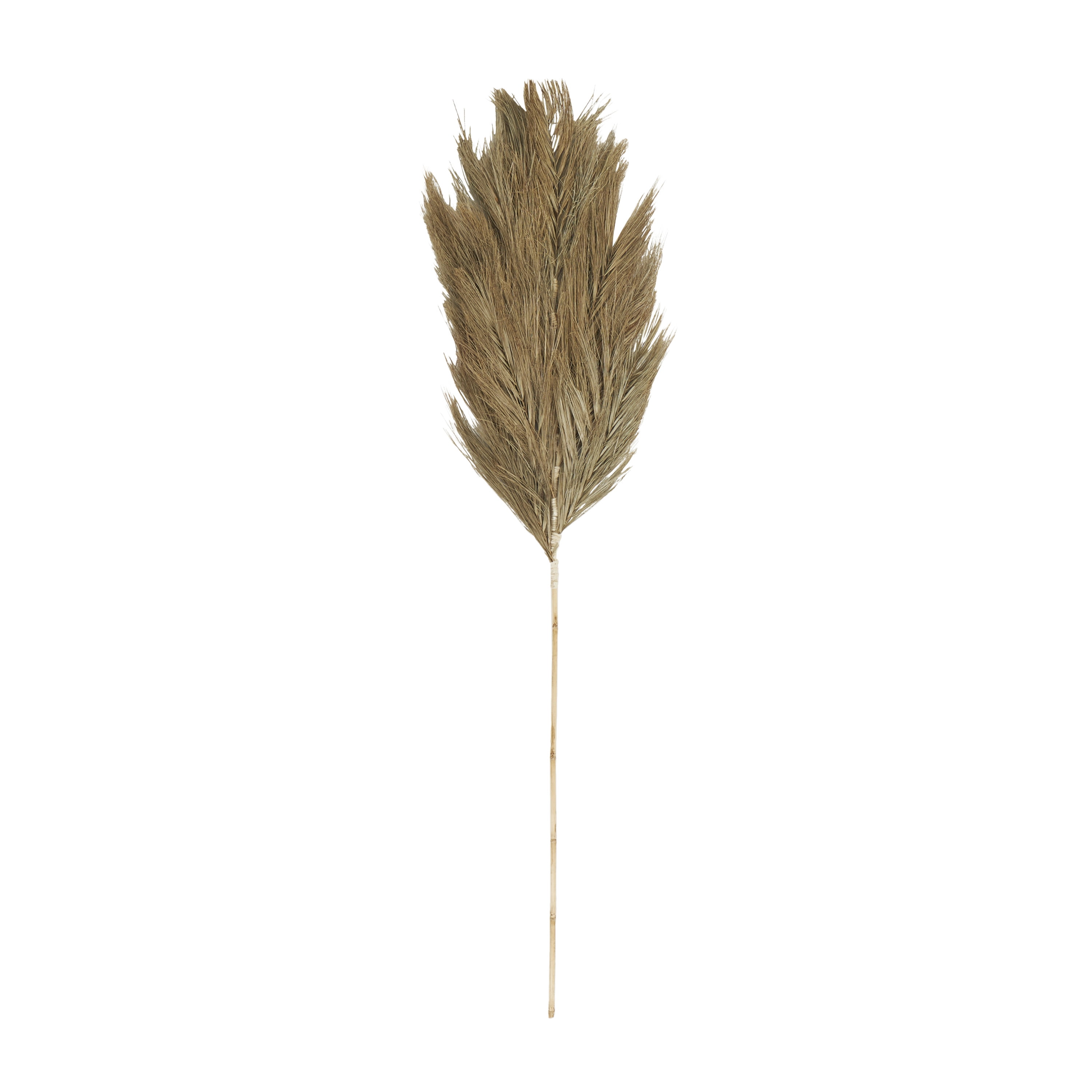 59" Tall Dried Plant Natural Foliage Palm Leaf Bouquet, by DecMode