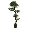 thumbnail image 1 of 59" Tall Yacca Tree, 1 of 3