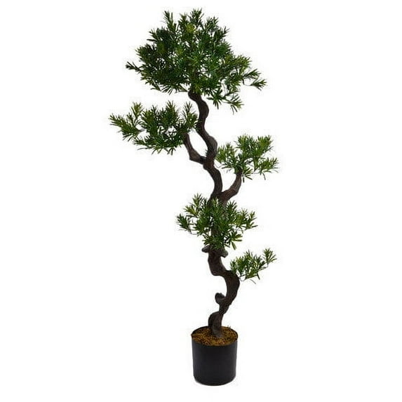 59" Tall Yacca Tree