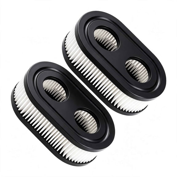 Best Sellers In Lawn Mower Air Filters