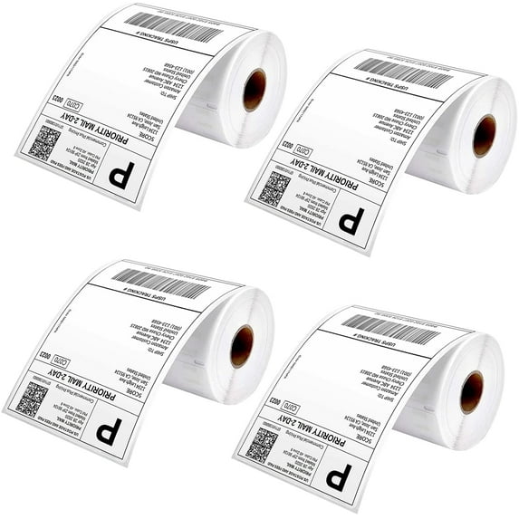 5Core 4 Rolls 4x6 Direct Thermal Shipping Labels - 250 Per Roll - 1000 Labels DTL 4PK