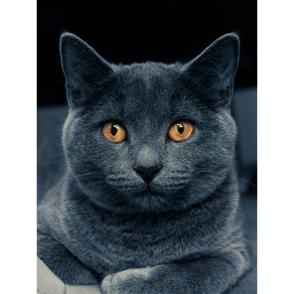 5D DIY Artificial Full Diamond Painting Set - Adult Beginner, Charming Gray Tabby Cat with Orange Eyes for Home Wall Decor & Gift - Perfect for Art Lovers & Adults