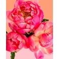 thumbnail image 1 of 5D DIY Diamond Painting Full Drill Cross Stitch Kit Diamond Painting Kits for Adults Rhinestone Embroidery Diamond Art Set for Kids 12x16inch A58, 1 of 4