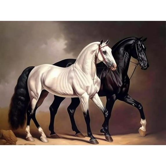 5D DIY Diamond Painting Set "Black and White Horse, Animals" Round Diamond Art Crafts for Adults, Suitable for Wall Decoration, Bedroom and Home Decoration