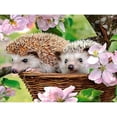thumbnail image 1 of 5D DIY Diamond Painting Set "Cute Hedgehog, Flowers, Animals" Round Diamond Art Crafts for Adults, Suitable for Wall Decoration, Bedroom and Home Decoration, 1 of 4