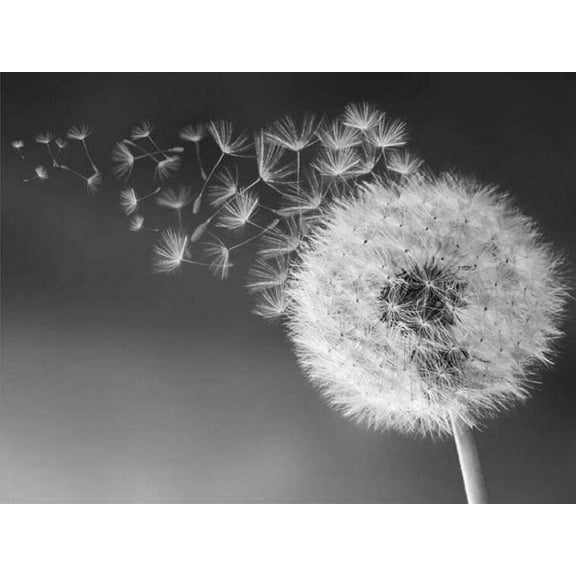 5D DIY Diamond Painting Set "Dandelion" Round Diamond Art Crafts for Adults, Suitable for Wall Decoration, Bedroom and Home Decoration