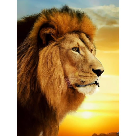 5D DIY Diamond Painting Set "Lion, Animal" Round Diamond Art Crafts for Adults, Suitable for Wall Decoration, Bedroom and Home Decoration