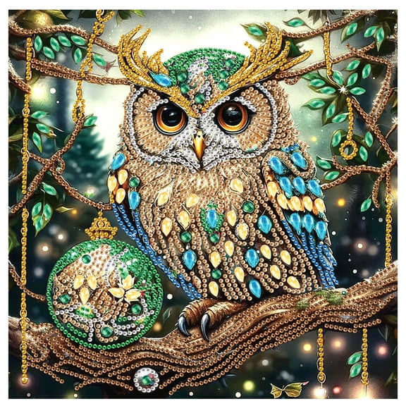 5D DIY diamond painting kit, domineering owl special shape diamond canvas, namely can reduce stress and relax, but also can be used for home wall decoration