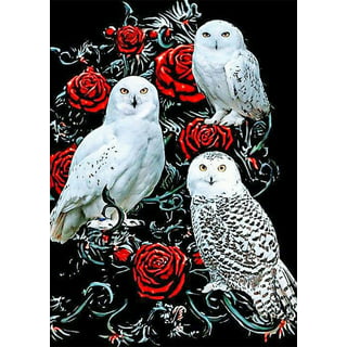 Amerteer DIY 5D Diamond Painting Kits Owl Paint with Diamonds Kit,Full  Drill Owl Diamonds Art Kit for Kids Adults,12×16 inches Exotic Owl