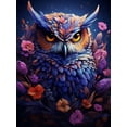 thumbnail image 1 of 5D Diamond Art Painting Kits Purple Owl, DIY Paint with Diamond Art Animal Round Full Drill Crystal Diamond Embroidery Paintings Arts Craft for Home Office Wall Decor, 1 of 7