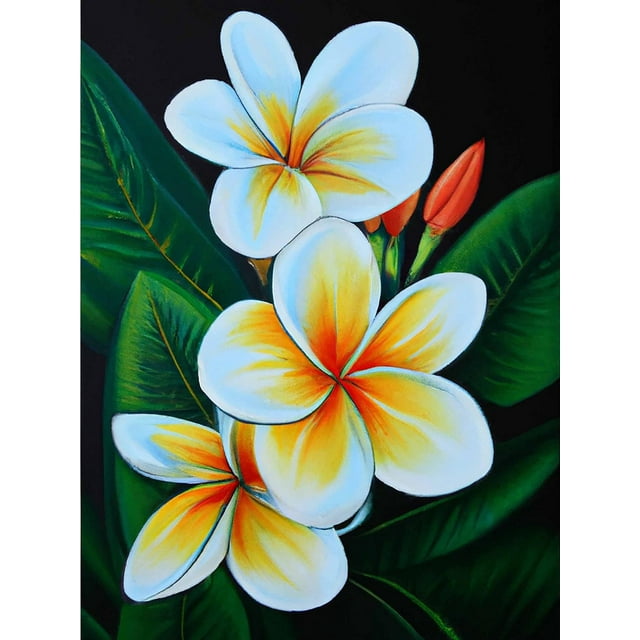 5d-diamond-painting-flower-plumeria-full-drill-by-number-kits-diy