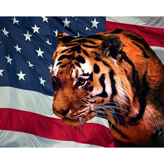 5D Diamond Painting Kits for Adults kids Beginners Paint By Diamond Set Round Full Drill Craft Diamond Art Painting Art Craft Painting Kit-American Flag Tiger