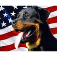 thumbnail image 1 of 5D Diamond Painting Kits for Adults kids Beginners Paint By Diamond Set  Round Full Drill Craft Diamond Art Painting Art Craft Painting Kit-Flag Cavalier King Charles Spaniel Rottweiler (5), 1 of 6