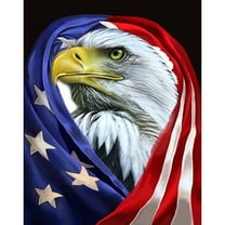 5D Diamond Painting Kits for Adults kids Beginners Paint By Diamond Set  Round Full Drill Craft Diamond Art Painting Art Craft Painting Kit-Flag scarf eagle