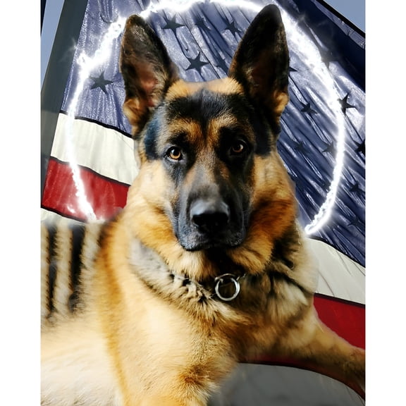 5D Diamond Painting Kits for Adults kids Beginners Paint By Diamond Set Round Full Drill Craft Diamond Art Painting Art Craft Painting Kit-German Shepherd Dog with Flag