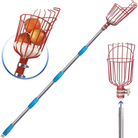 5FT Fruit Picker, Fruit Picker Tool with Basket & Adjustable Stainless Steel Pole, Lightweight Fruit Grabber for Apple Mango Avocado Orange Lemon, Easy Assembly & Long Reach for Tall Trees Harvesting