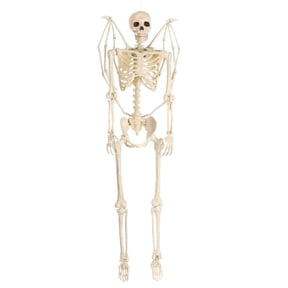 5FT Poseable Winged Skeleton Decoration