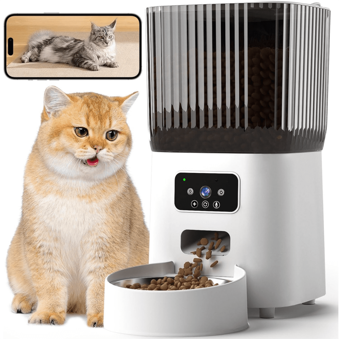 Automatic cat biscuit feeder online