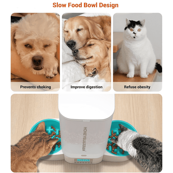 5L Large Capacity HONEYGUARIDAN Automatic Cat Feeder for Two Cats,5L Cat Food Dispenser with Slow Feeder Bowl, Timed Cat Feeder Programmable 1-6 Meals Control, Dual Power Supply, 10s Meal Call White